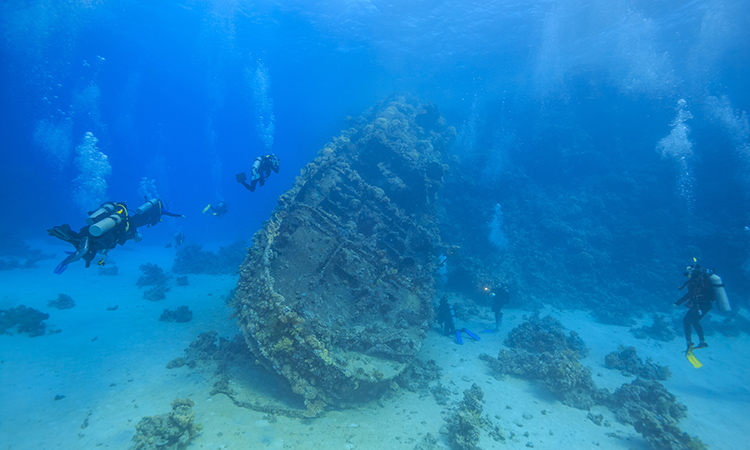 Scuba Diving Abu Tair, Cable Wreck, Jebel Al Lith