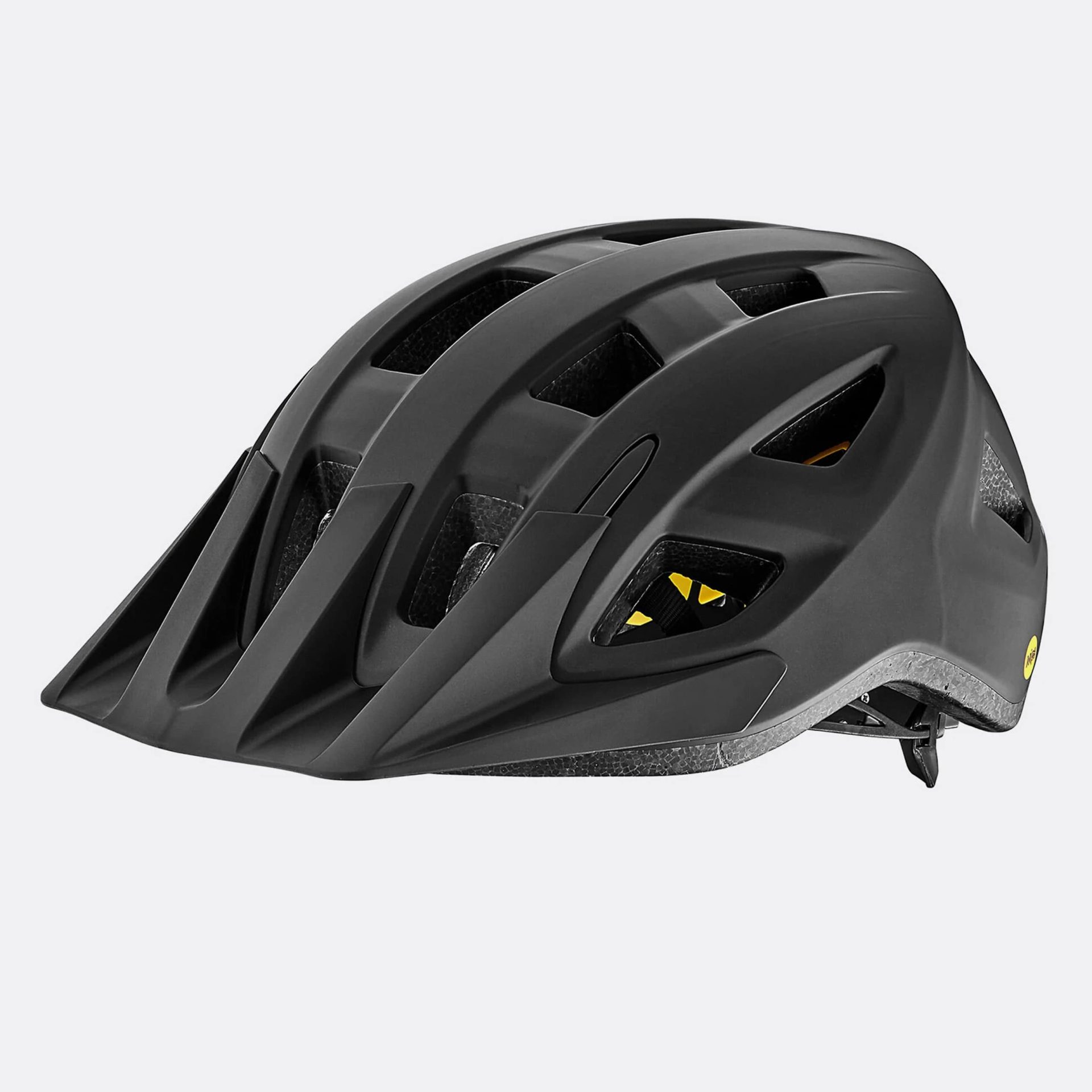 GIANT Path Helmet
